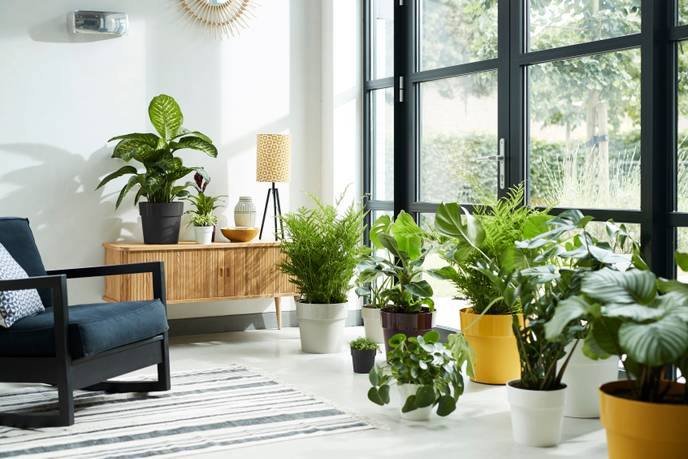 b.for original rond 22cm living black